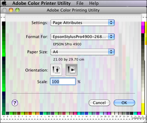 Cant Print To Adobe Printer